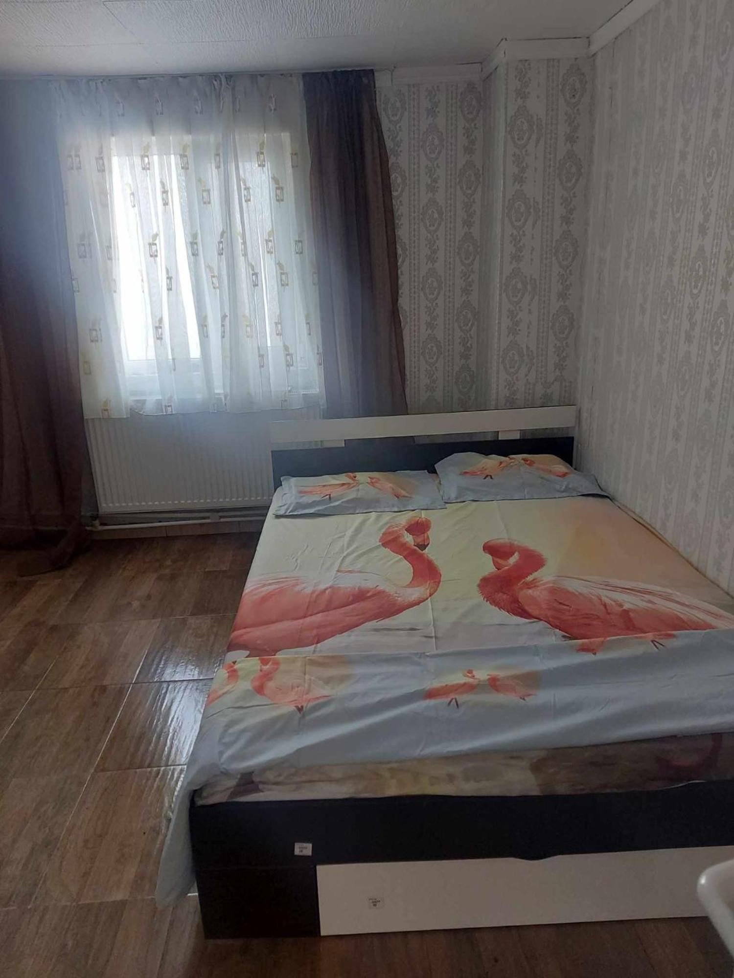 Hotel Camelia Eforie Nord Zewnętrze zdjęcie